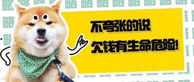 天空大哥爆料小羊视频,小羊视频背后的惊人真相